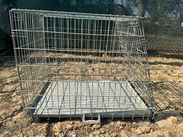 Gabbia Per Trasporto Cane