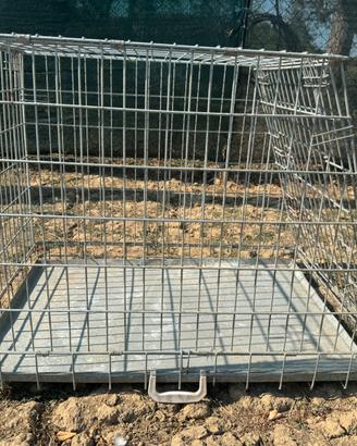 Gabbia Per Trasporto Cane