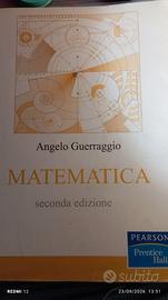 Matematica Angelo Guerraggio