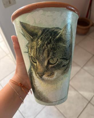 Vaso piante con gatto