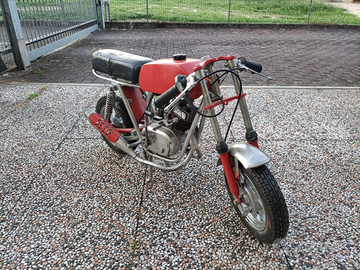 Moto Morini