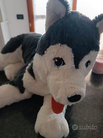 Peluche IKEA Husky bianco e nero