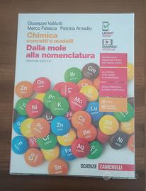 Libro Chimica concetti e modelli  9788808856999