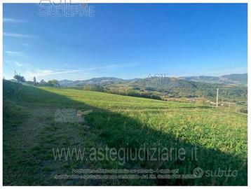 Terreno Agricolo Piozzano [A4353300]