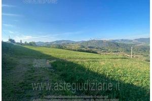 Terreno Agricolo Piozzano [A4353300]