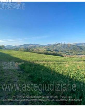 Terreno Agricolo Piozzano [A4353300]