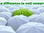 Immagine 25