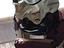 Immagine 5