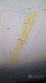 Terreno agricolo a Massone