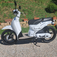 Scarabeo 50