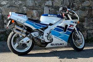 Splendida Suzuki RGV 250