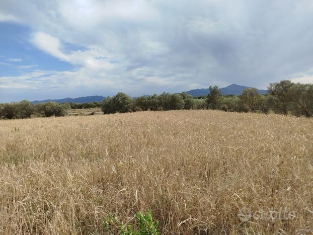 Terreno agricolo località Sant'ambroggio