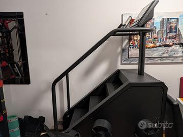 Stair climber professionale Diamond l-38s