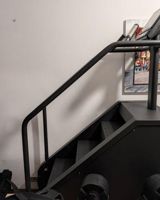 Stair climber professionale Diamond l-38s