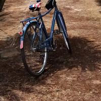 Bicicletta da passeggio Regina 