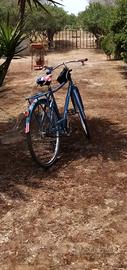 Bicicletta da passeggio Regina 