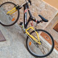 bici uomo