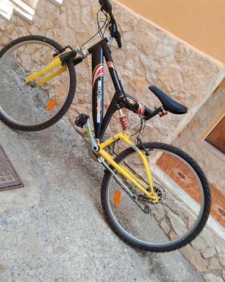 bici uomo