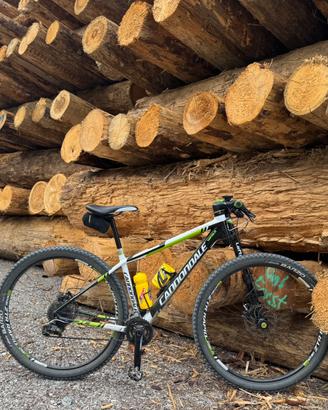 MTK CANNONDALE 29