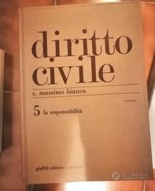 Diritto civile Volume 5 La Responsabilità