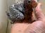 Immagine 4