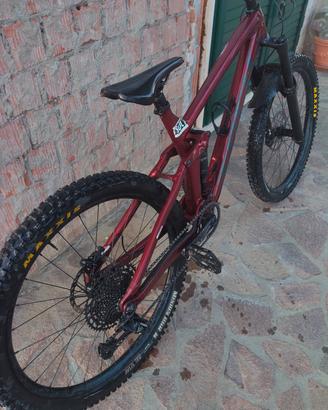 Trek Remidy 7  anno 2022