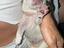 Immagine 3