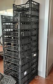 Cassette ortofrutta plastica