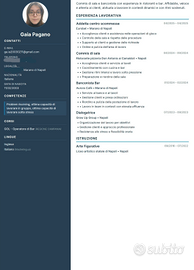 Cameriera Bar - Ristorante - lavapiatti