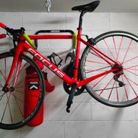 focus izalco corsa