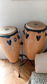 congas meinl
