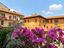 Immagine 12