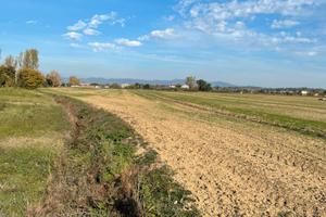 Terreno agricolo
