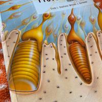Fisiologia Terza Edizione Cindy Stanfield, William