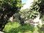 Immagine 23