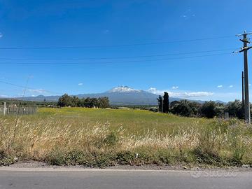 Paterno’  terreno ettari 1,6