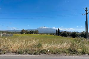 Paterno’  terreno ettari 1,6