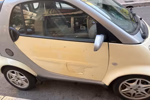 Smart 800 Diesel