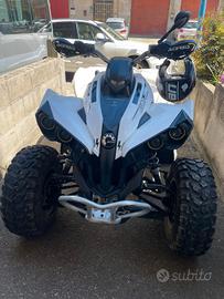 Can Am renegade 500