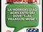 Immagine 12