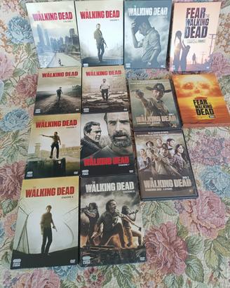 DVD the walking dead  
