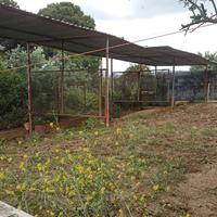 Box + paddock per cavalle