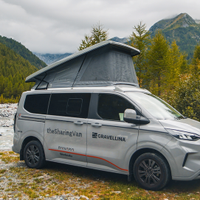 Ford Custom Panama Peak 10