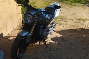 Honda Hornet 