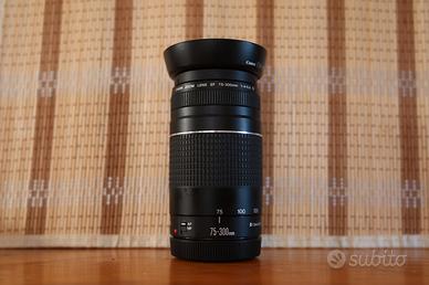 Canon EF 75-300mm f/4-5.6 III