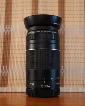 Canon EF 75-300mm f/4-5.6 III