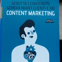 libro Sfrutta i contenuti,  content marketing