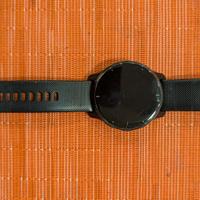 Smartwatch GARMIN VENU 2 PLUS 