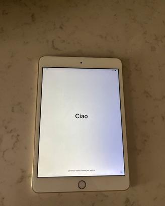 IPAD MINI3