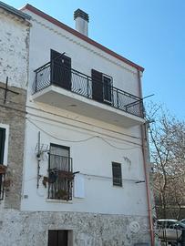 Bovino tri locale